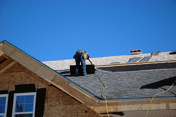 Best Roof Coating and Sealing  in Reed City, MI