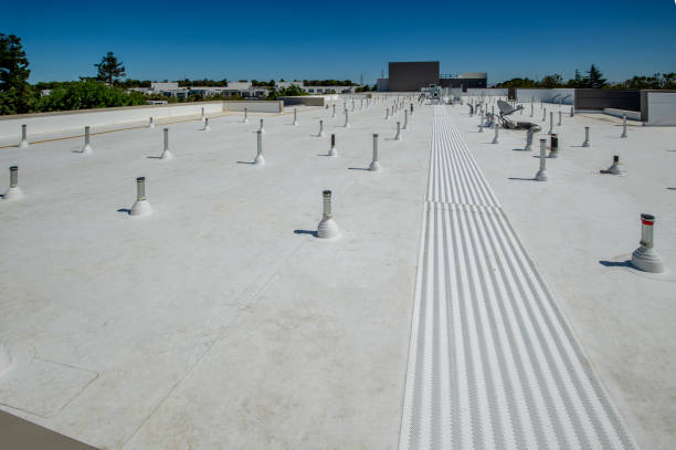 Best Roof Insulation Installation  in Reed City, MI
